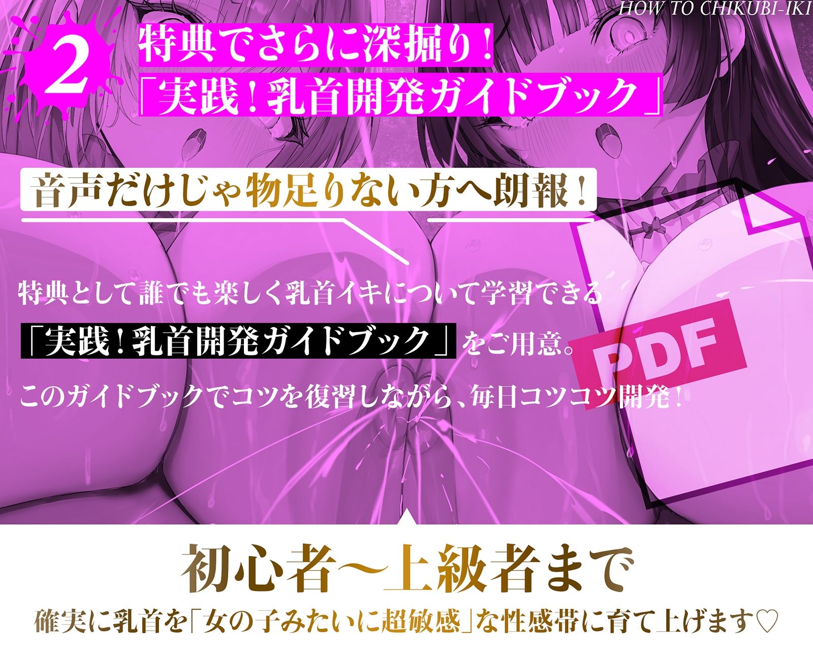 乳首で【イク】！メソッド」〜初心者から上級者まで本当に誰でも乳首でイケる『実用』開発メソッド完全版