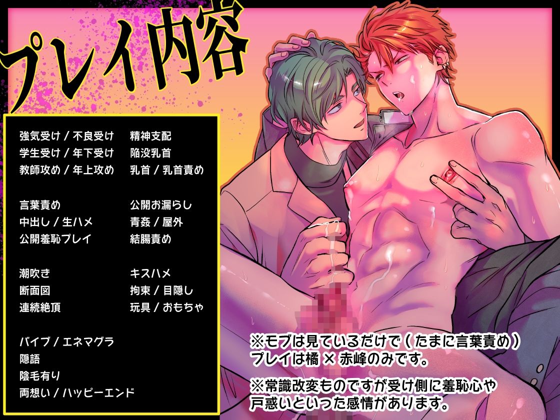 -常識改変-異常な日常 ［生意気ヤンキー1ヶ月間犯し放題］【ボイスドラマ版】 画像2