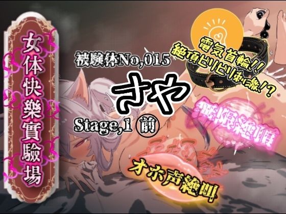 『女体快楽実験場』 被験体No,015「さや」Stage,1前編