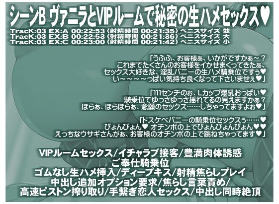 サンプル-ハイローラーを超える強運メガウェールは爆乳おっぱいの逆バニーが御好き 生意気メスウサギとの生ハメSEXに我慢できずに中出しフルBET - サンプル画像