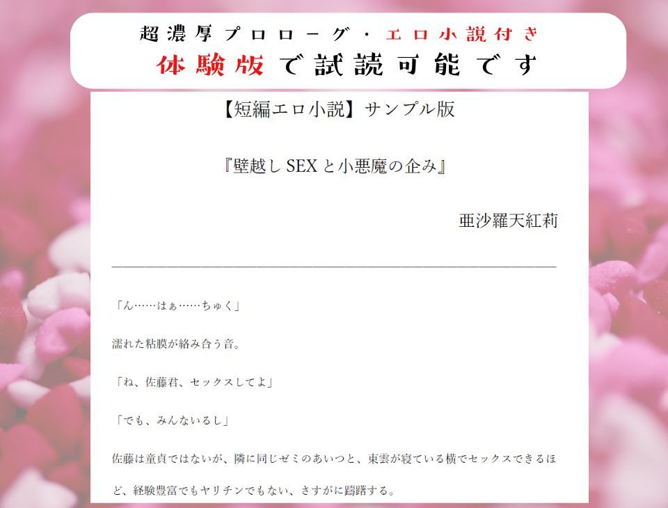 【壁越し/処女喪失/超濃厚エロ小説付き】「僕をオナホにしていいよ」 好きな子の交尾を聴きながら小悪魔僕っ娘を抱いたら、実は処女で、最後は本気なかだしセックス 画像4