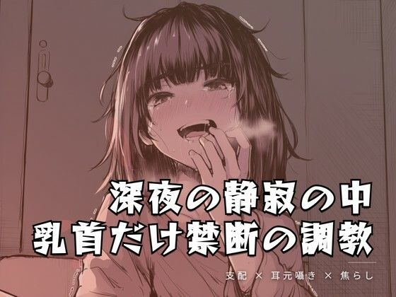 深夜の静寂の中、乳首だけを嬲る禁断の調教 画像1
