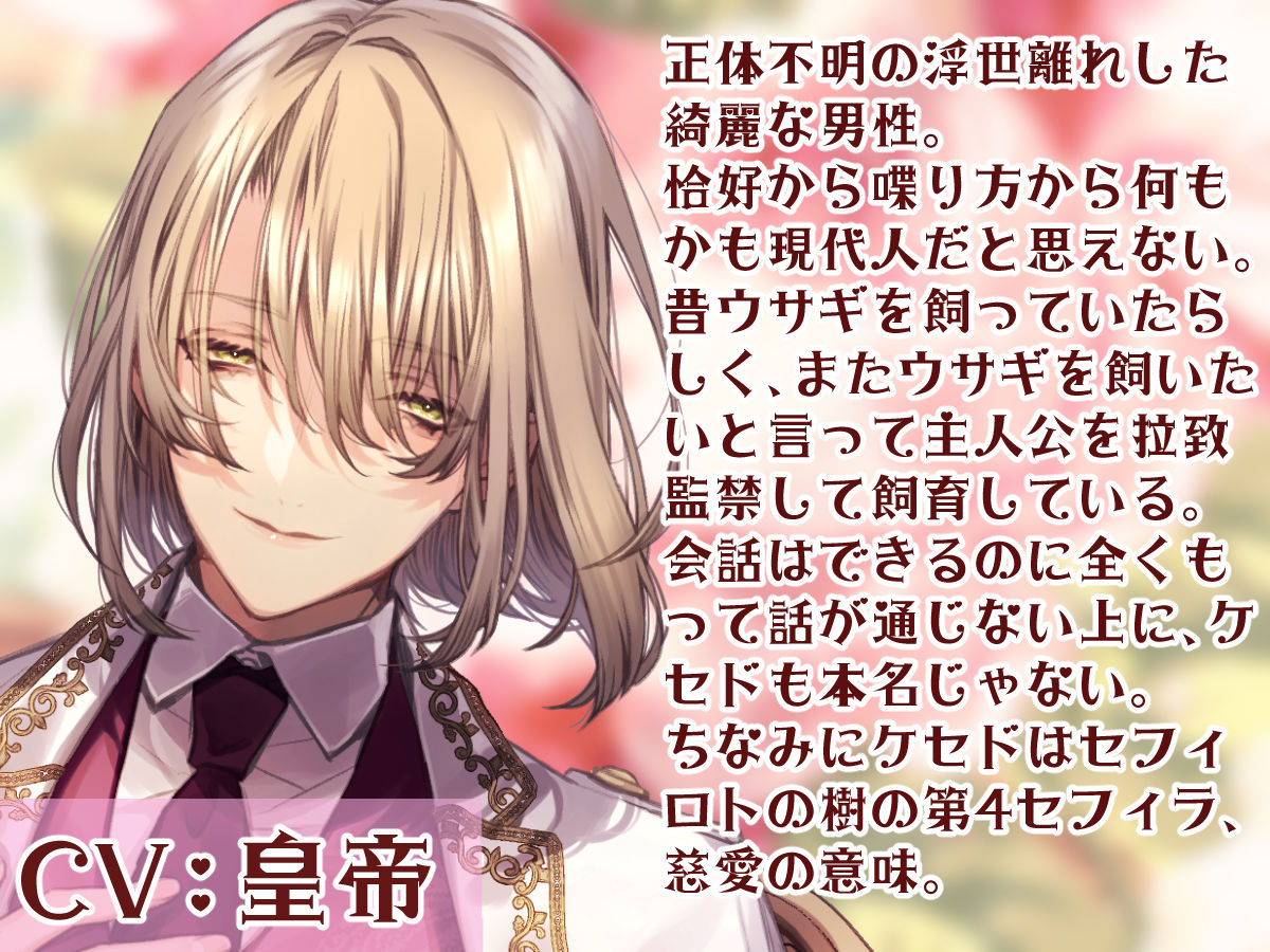 MY SWEET BUNNY CAGE 画像2