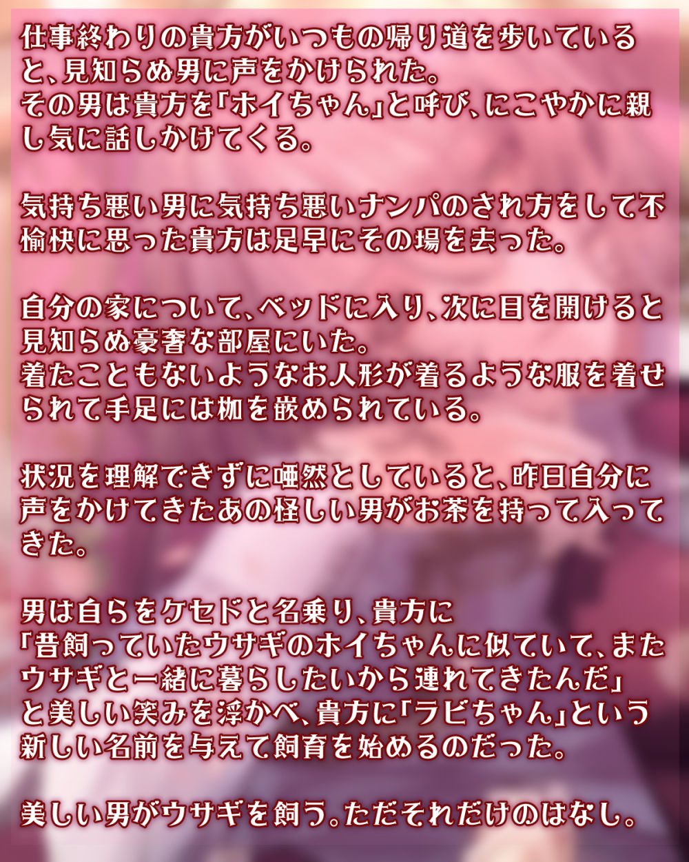 MY SWEET BUNNY CAGE 画像3