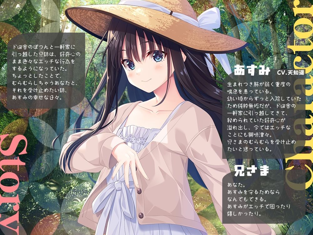 兄さまのむらむらした気持ちを全部受け止めたい妹_2