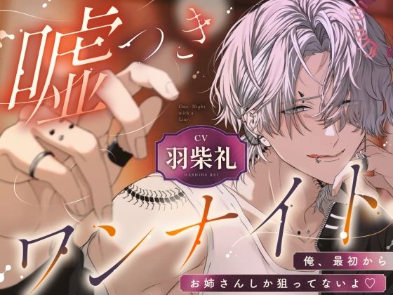 嘘つきワンナイト  俺、最初からお姉さんしか狙ってないよ