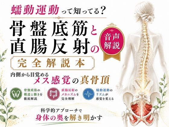 音声解説  メスイキ・ドライオーガズムを引き起こすエネマグラ、アネロスの自動化  勝手に暴れだす仕組みを完全解説