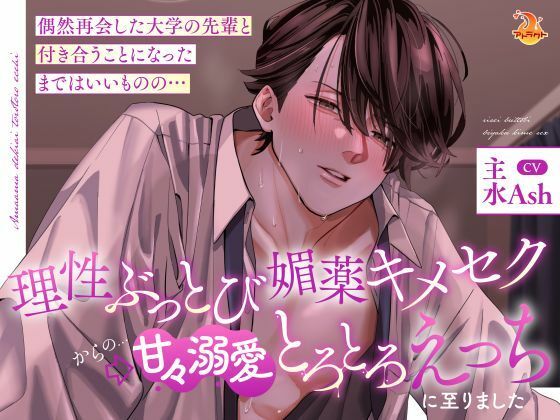 偶然再会した大学の先輩と付き合うことになったまではいいものの…理性ぶっとび媚薬キメセク？甘々溺愛とろとろえっちに至りました