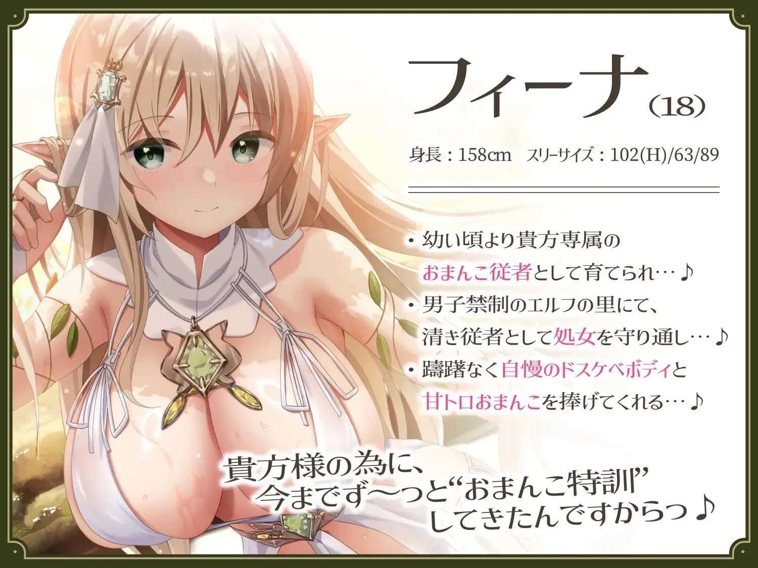 【あまあま性処理】異世界おまんこ従者。貴方の為に搾精あまトロおまんこしてくれる健気なエルフ。 画像2