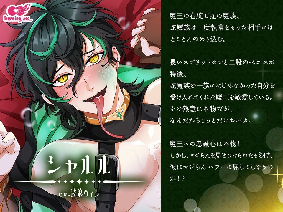 【全4作セット】マジちん勇者 コンプリートパック（約160分！？） サンプル画像 6