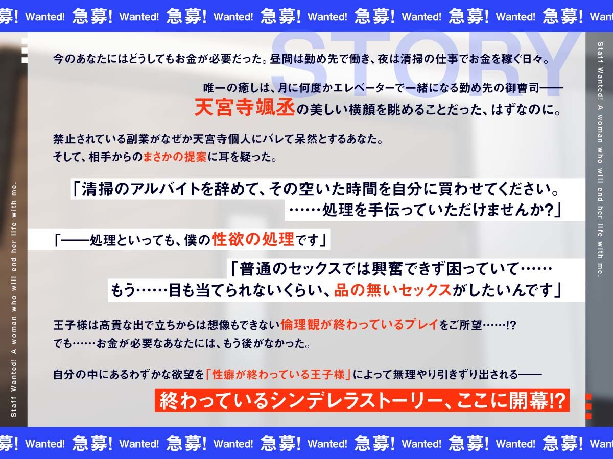 【急募】 僕と一緒に人生終わってくれるオンナ 〜お金はいくらでも出すから倫欠プレイに付き合って〜 画像3