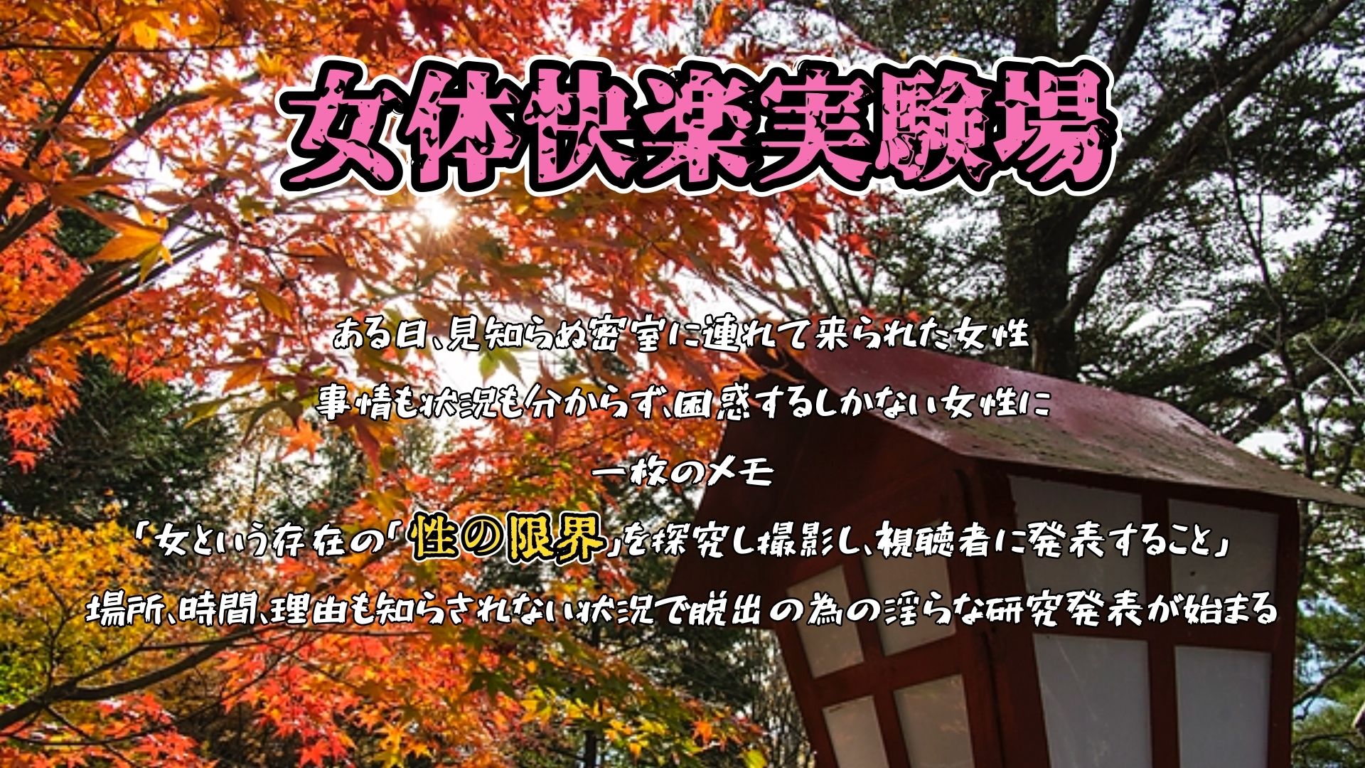 【実演】『女体快楽実験場』 被験体No,019「祈唯手みりゅぅ」Stage,1後編【オホ声】 画像1