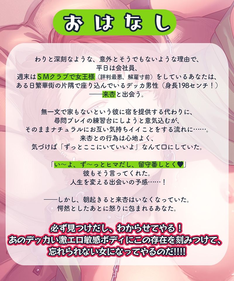 受け身で、スケベで、私をほしがるお兄さん サンプル画像1